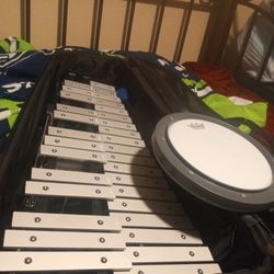 Full Pearl Kit With Stand Sticks Music Book Everything Percussion 165 Bucks