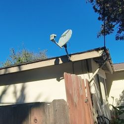 Dish