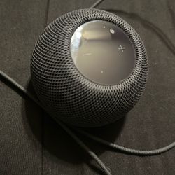 Apple Home Pod