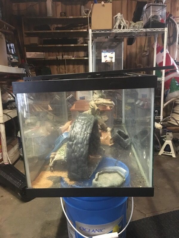 40 gallon reptile cage for Sale in Long Grove, IL - OfferUp