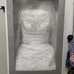 Wedding Dress and Veil