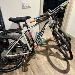 GIANT Mountain Bikes with gravel & dirt tires 