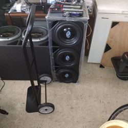 The 3 10 Inch Subwoofers 