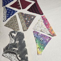 Dog Bandanas And Jacket