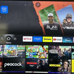 65 Inch Insignia Fire Tv With Alexa Voice Remote