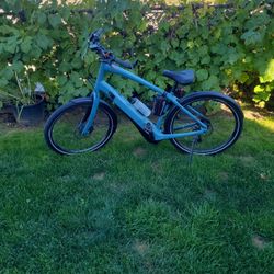 Specialized Electronic Assist Pedal