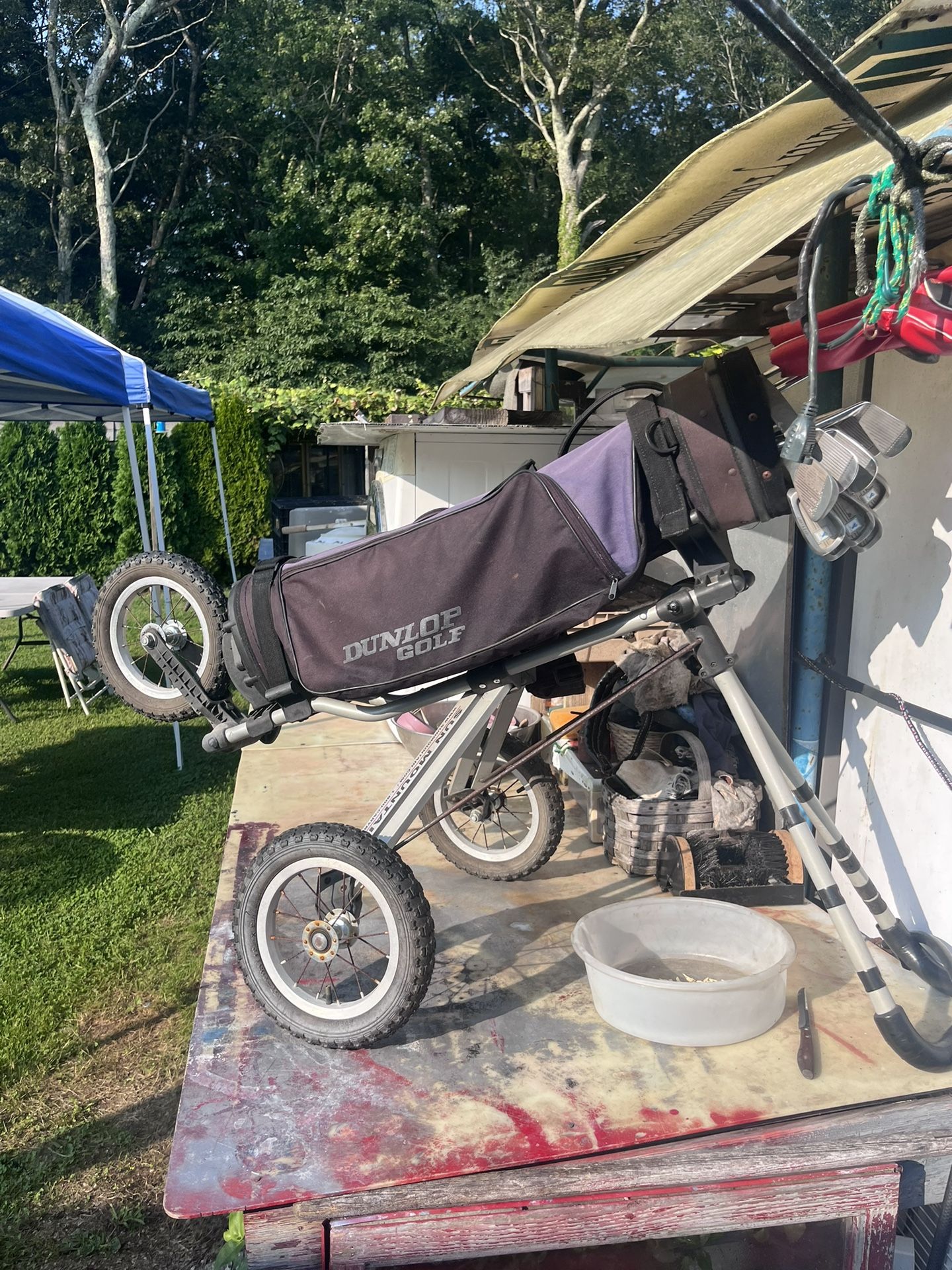 Golf Clubs And Cart