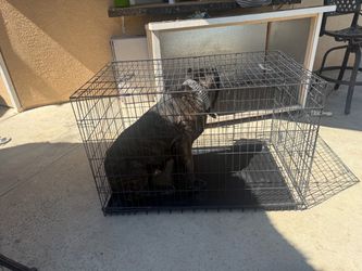 X Large Dog Crate