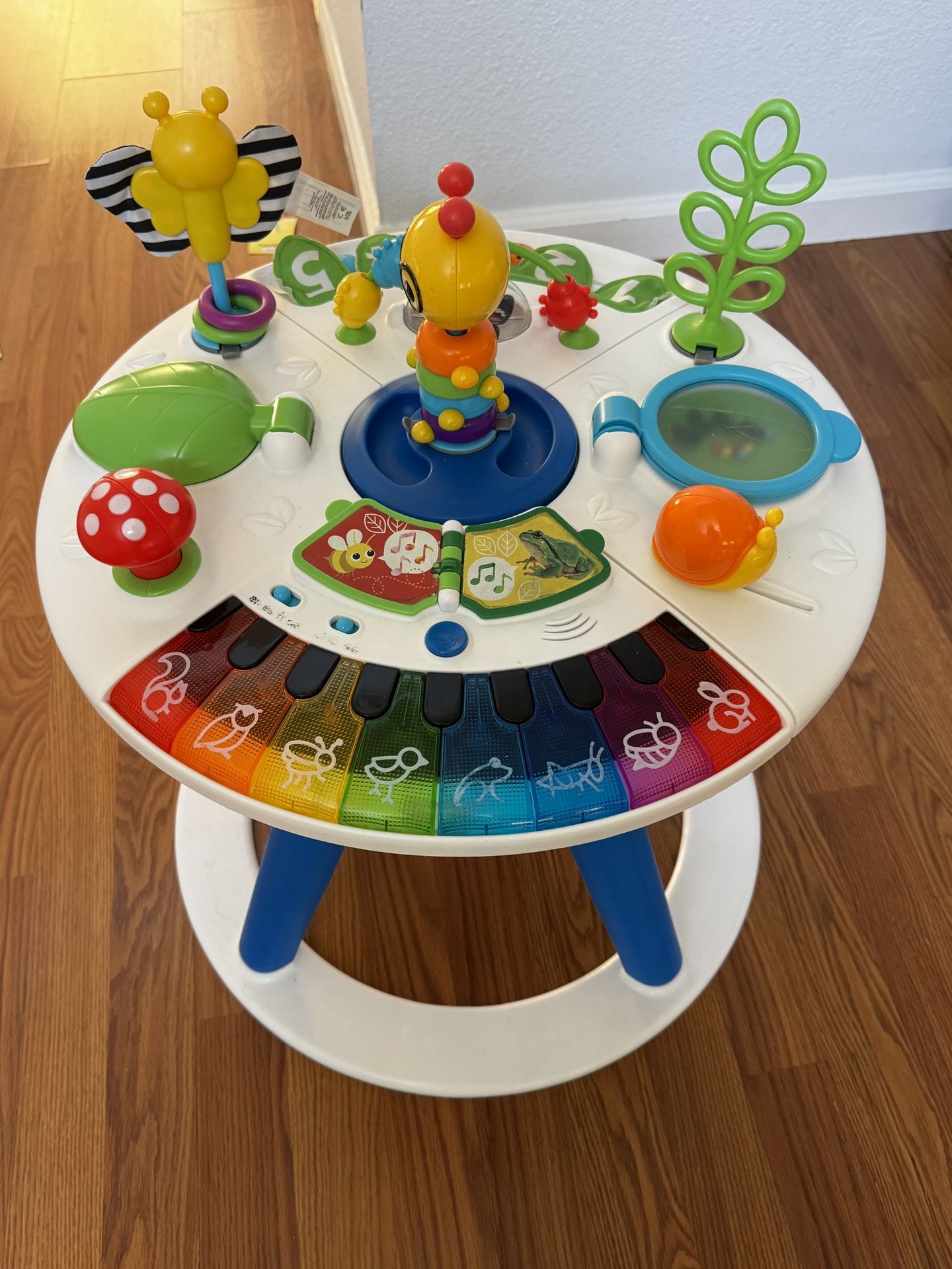 Baby Einstein Around We Grow Kids