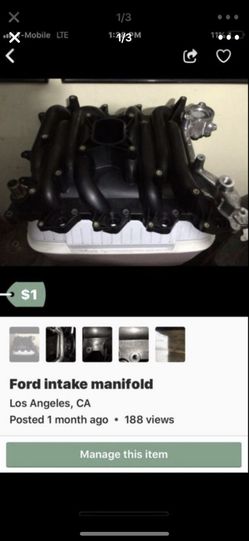 Ford intake