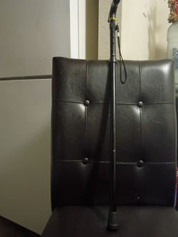 Walking Cane (Collapsible)