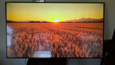 Sceptre 65 Inch 4K UHD LED TV Ultra Thin - Crack On Screen