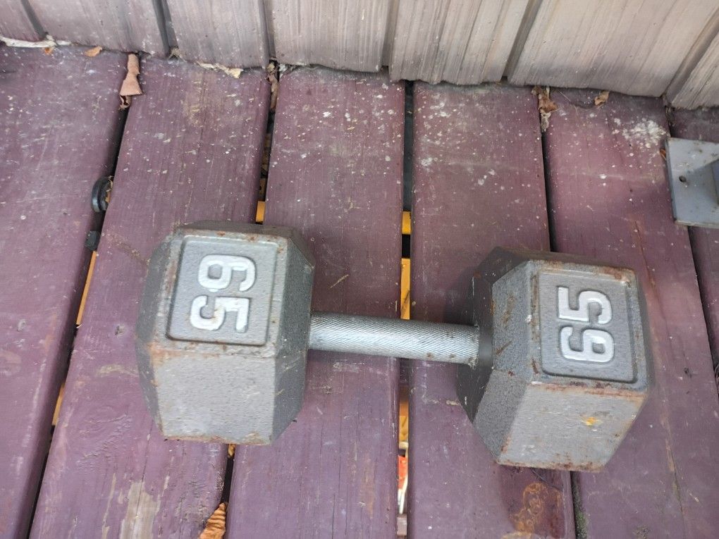 65 pound hex dumbell