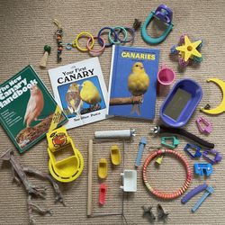 Bird Toys And Canary Books