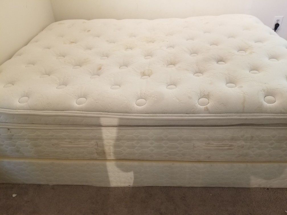 Queen bed and boxspring