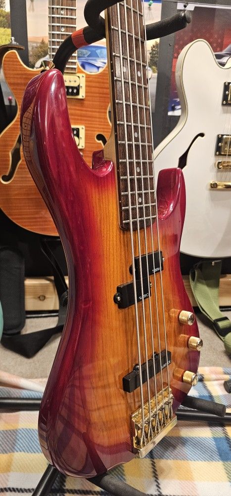 Five String Bass Guitar