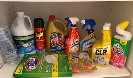 NEW- bathroom cleaners & toilet brush
