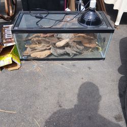 20 Gallon Fish Take With Light And Drift Wood 