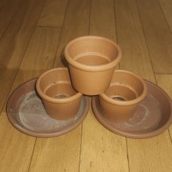 Small Flower Pots