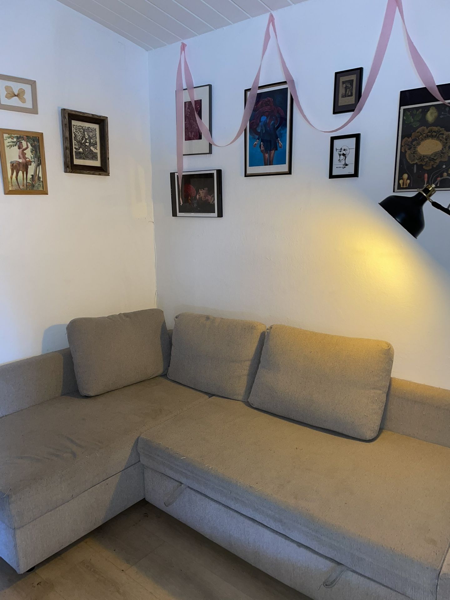 FREE pull-out couch! With Storage