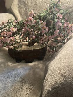 Japanese Jade Cherry Blossom Bonsai 