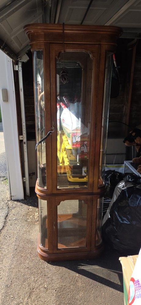 Curio Cabinet With Multiple Shelves & More