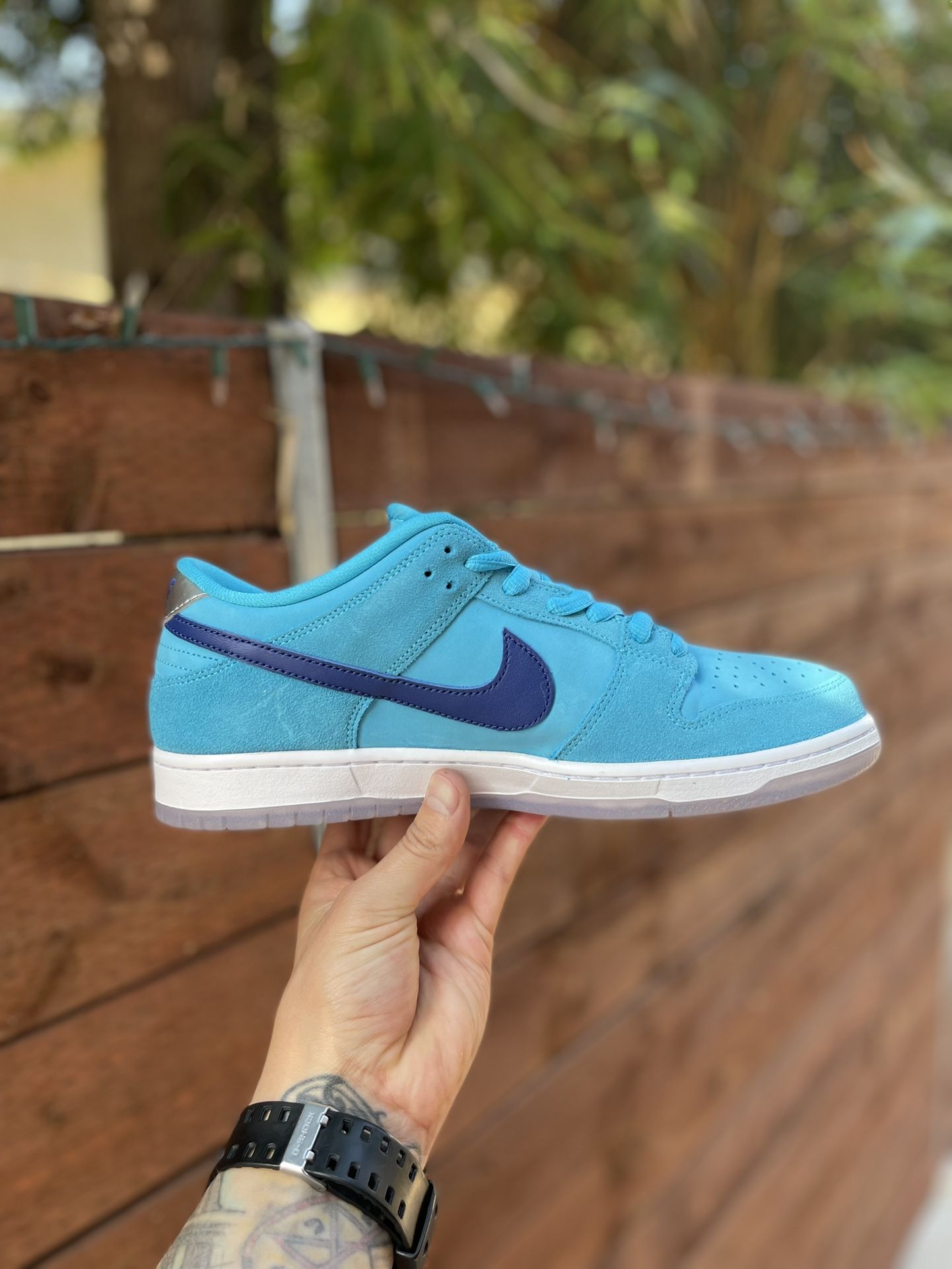 Sb dunk low blue fury on feet cheap