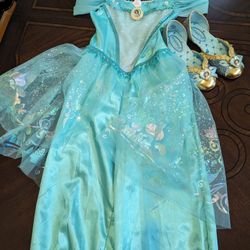 Jasmine Costume