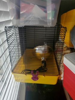 Empty Hamster Cage