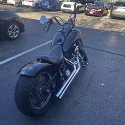 91 Harley Davidson Springer