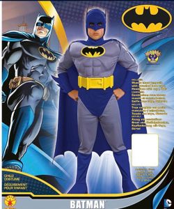 Batman The Brave And The Bold Costume 
