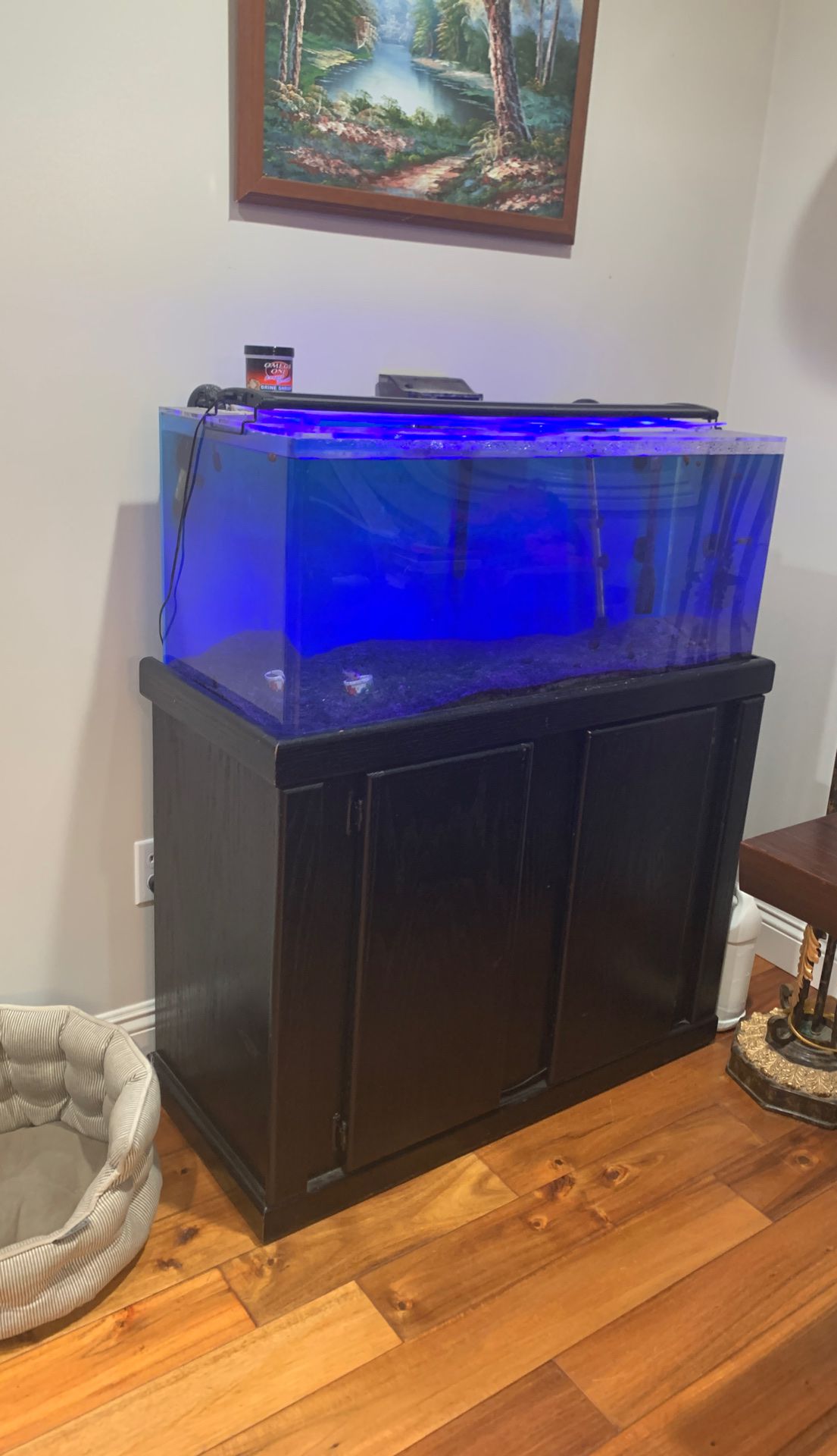 40 gallon acrylic Fish tank with stand 38.5x17x45
