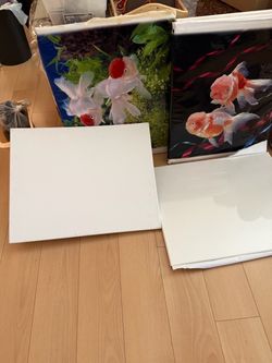 Canvass for painting