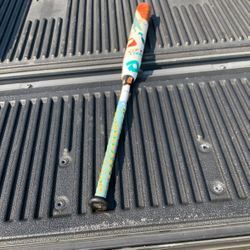 Dimarini CFS 18 Fast pitch Softball Bat