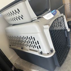 Dog Kennels 