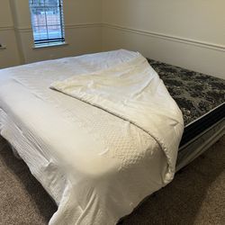 Opportunity Clearance Sale / Auction - 6 Items