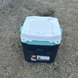 Igloo Cooler/lunch