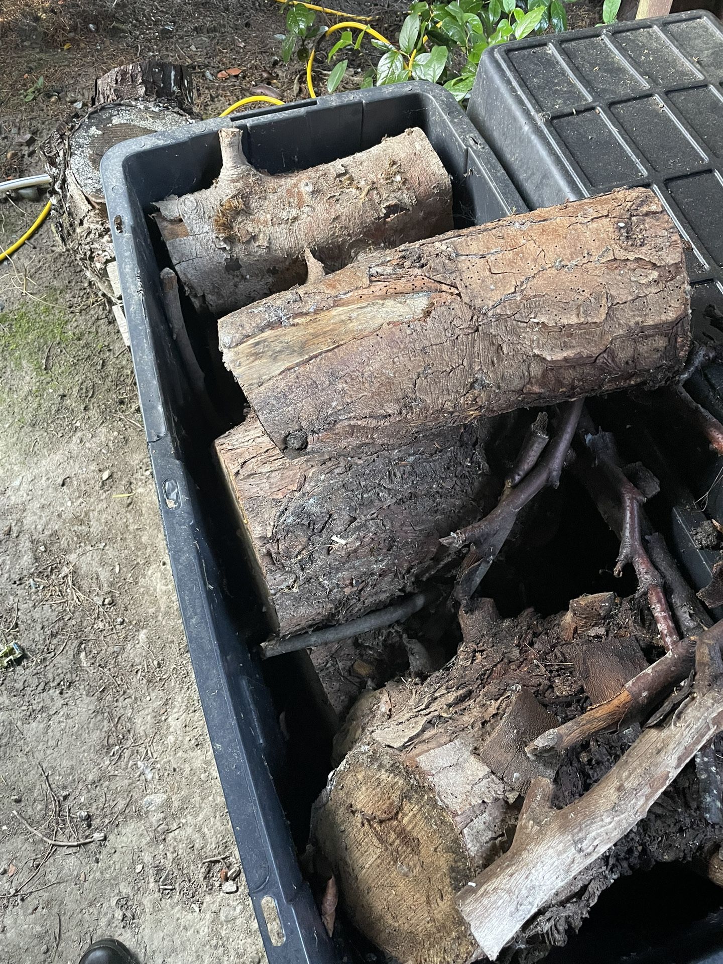Free Firewood