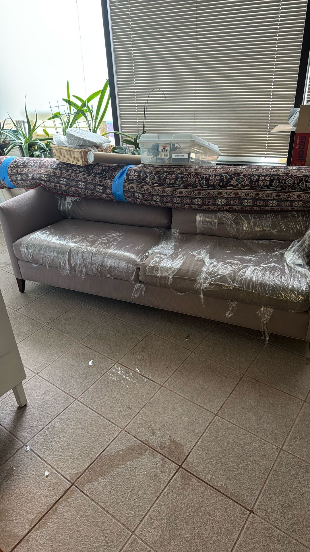 Great Couch