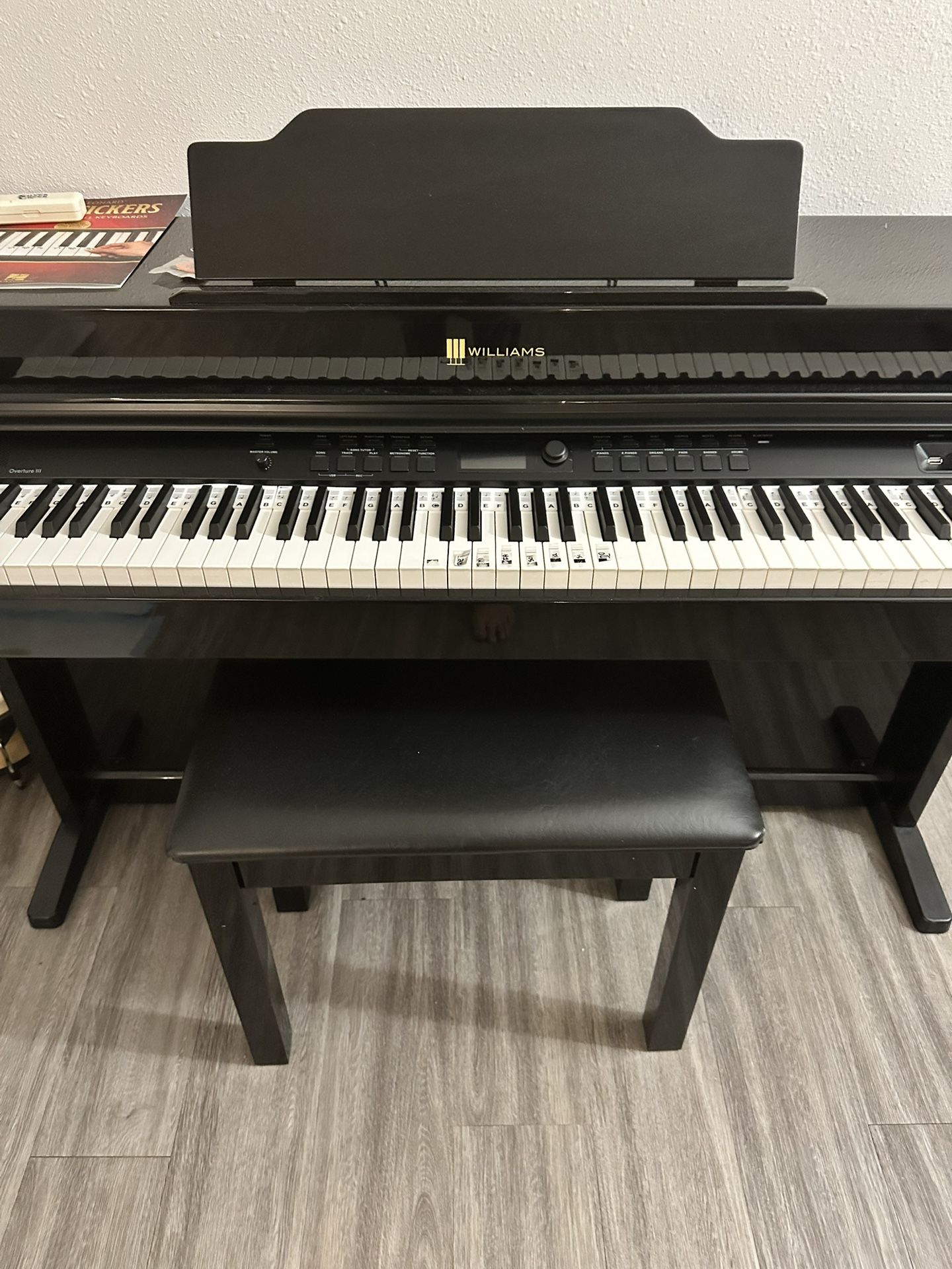 Modelo :williams Color Negro