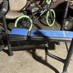 Olympic Weight Bench with Rack Bench Press