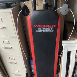 Ultimate Body Works Bench 