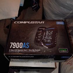 Remote car starter