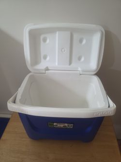 Igloo cooler