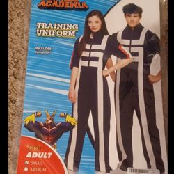 My Hero Academia  Costume
