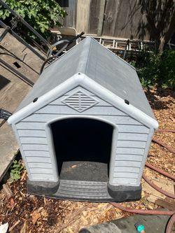 Dog House