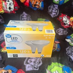 LED Spotlight Par38 Medium Base 