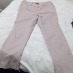 Ann Taylor Lilac Flat Pants