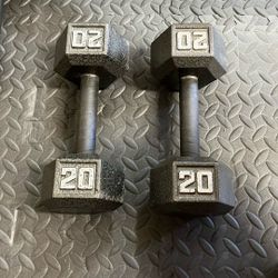 20lbs. Dumbbell Set