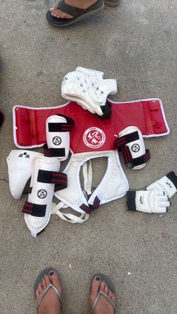 Taekwondo pads